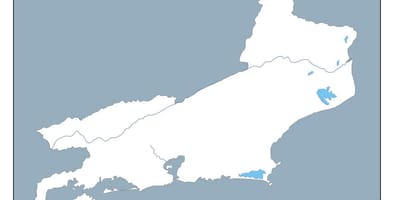 Карта Рио де Жанеиру вектор